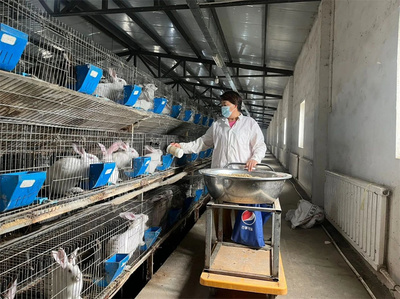 新疆焉耆 實驗動物養殖開創農村產業發展新路徑
