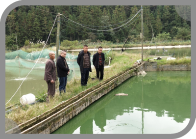 荔波多措并舉扎實推進水產養殖病害監測工作 保障養殖與銷售健康發展