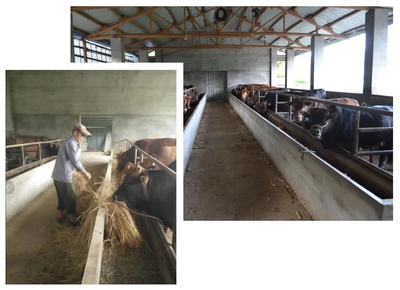 隱龍村建立特色種養殖基地，推動村民致富——養殖與銷售并舉的創A攻堅實踐