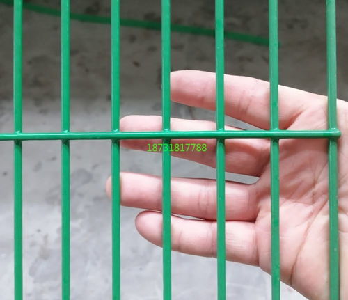 綠色包塑養殖圍網產品展示 專業養殖與高效銷售解決方案