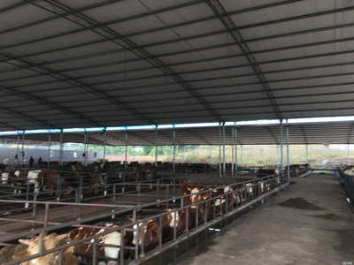 重慶榮豪農業 創新養殖模式與多元銷售渠道的融合發展