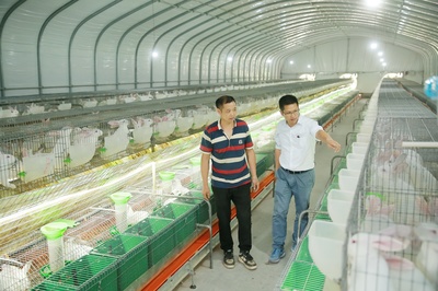 鄉村振興 兩位書記的養殖與銷售辦“法”