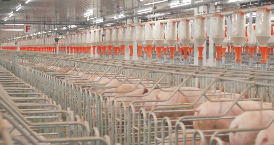 新希望集團董事長劉永好 從華西都市報到封面新聞，變革與創新的精神延續