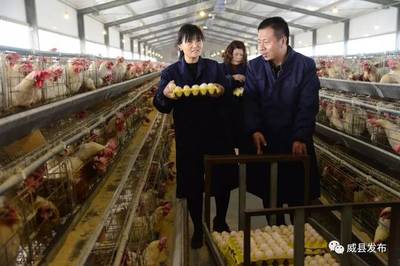 教育幫扶新篇章 國家教育部助力威縣農副產品產銷兩旺