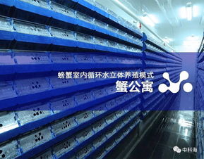 匯聚藍(lán)色經(jīng)濟(jì)新動(dòng)能 第十三屆中國(guó)國(guó)際（廈門(mén)）漁業(yè)博覽會(huì)全景解析