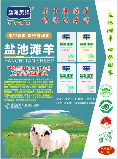 鹽池灘羊 市場(chǎng)價(jià)格、合理區(qū)間與產(chǎn)業(yè)鏈解析