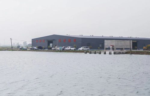 方正赴貴池區(qū)調(diào)研春耕備耕與特色農(nóng)產(chǎn)品產(chǎn)銷工作