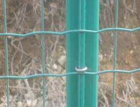 養(yǎng)殖圍網(wǎng)選購指南與銷售策略咨詢