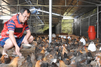 從營銷服務(wù)到“第一書記”養(yǎng)殖與銷售 產(chǎn)業(yè)融合的新路徑