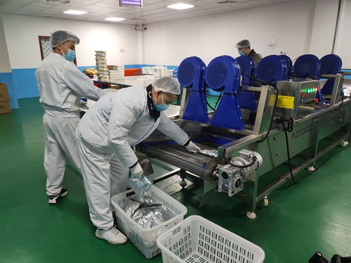 珠遵攜手牛羊出山，習(xí)水特色養(yǎng)殖業(yè)譜寫東西部協(xié)作新篇章