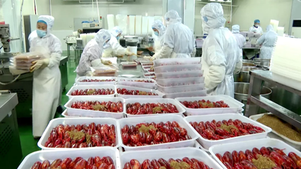 江蘇盱眙 龍蝦節(jié)里品百年新篇，養(yǎng)殖銷售共繪富民畫卷